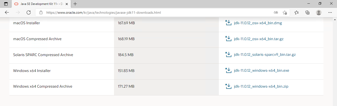 Java JDK 11 다운로드 링크 | 메모엔진